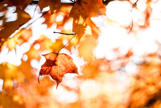 routine-beauté-automne