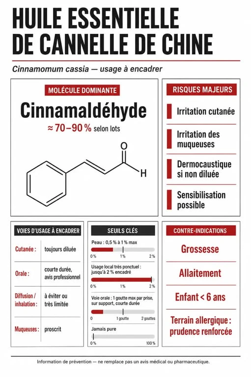 Infographie sur les huiles essentielles cannelle de chine : composition, risques, dilutions et contre-indications