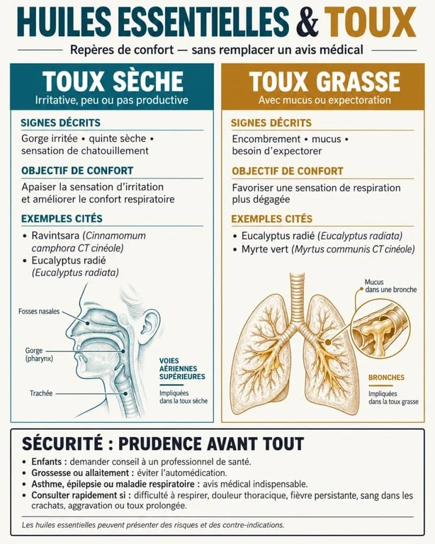 Infographie sur les huiles essentielles pour la toux sèche ou grasse et les précautions d’emploi